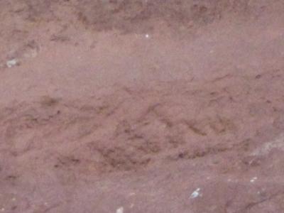 Rutas de  Grafitismo Historico